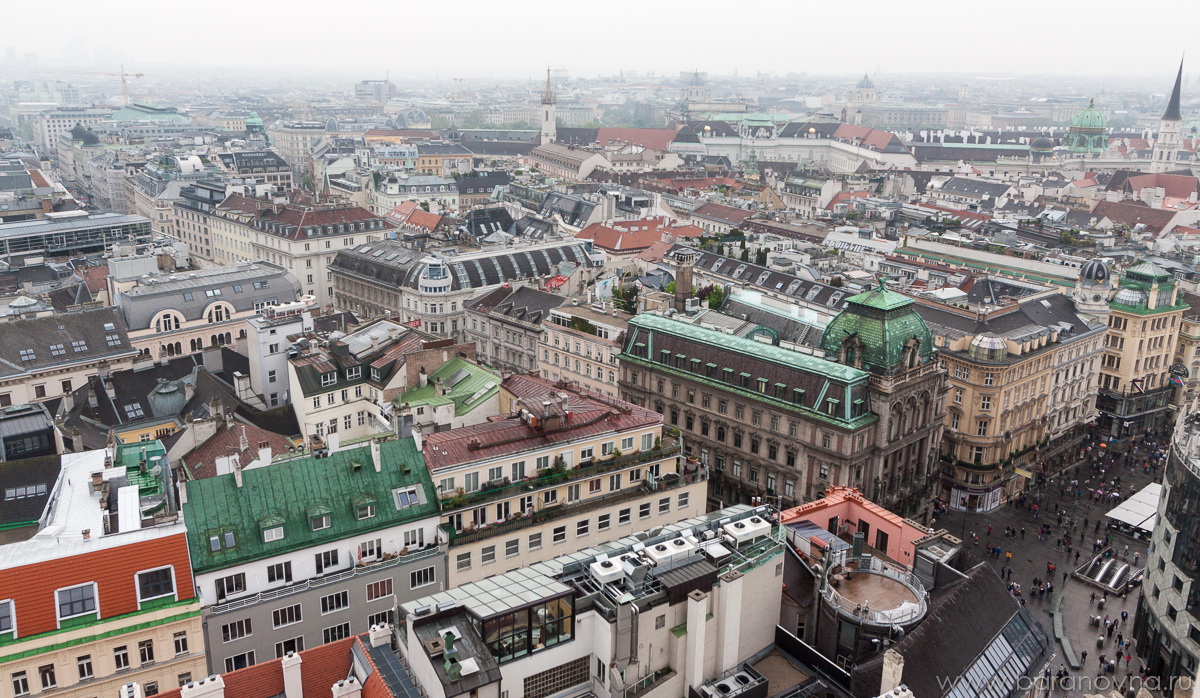 Vienna